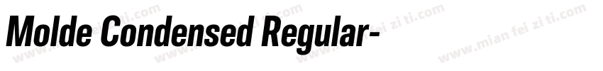 Molde Condensed Regular字体转换